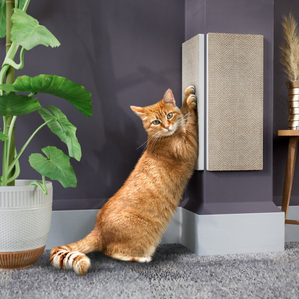 Smartcat ultimate scratching post canada discount