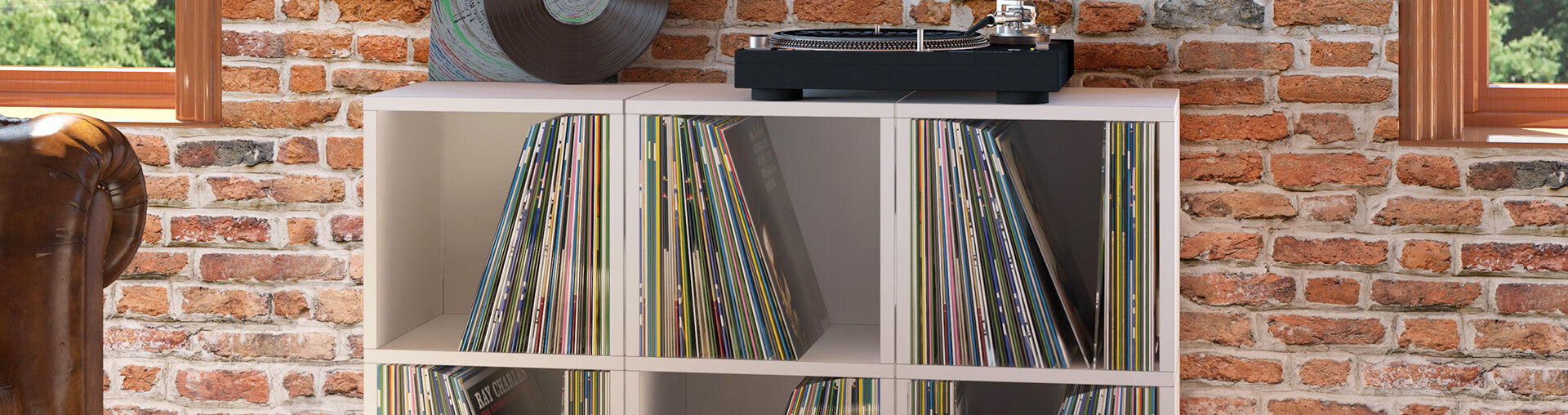 Vinyl Record Storage