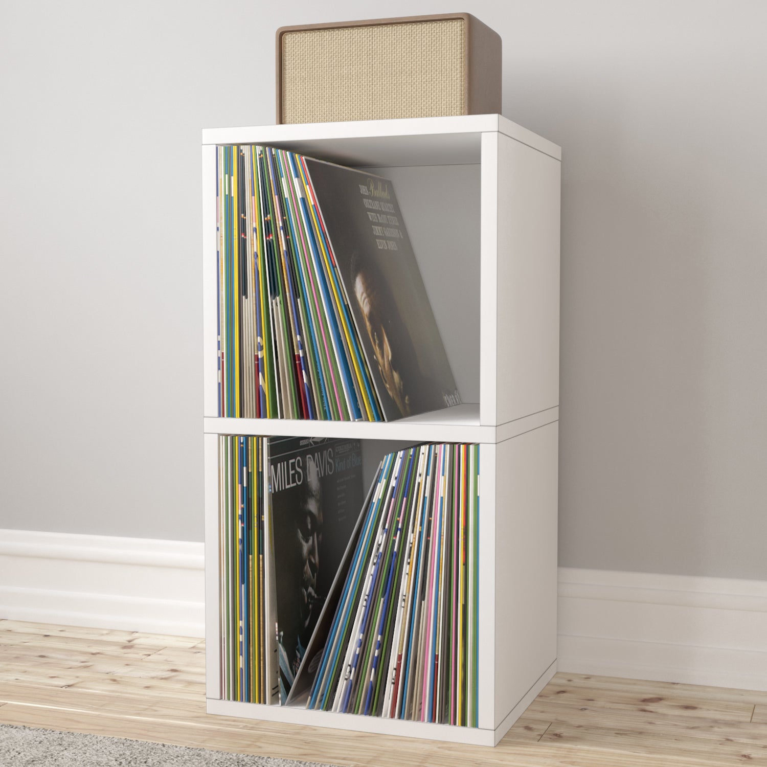 Vinyl Record Storage Shelf