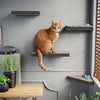 Cat Scratcher Floating Shelf Combo 4 Pack, Charcoal Black