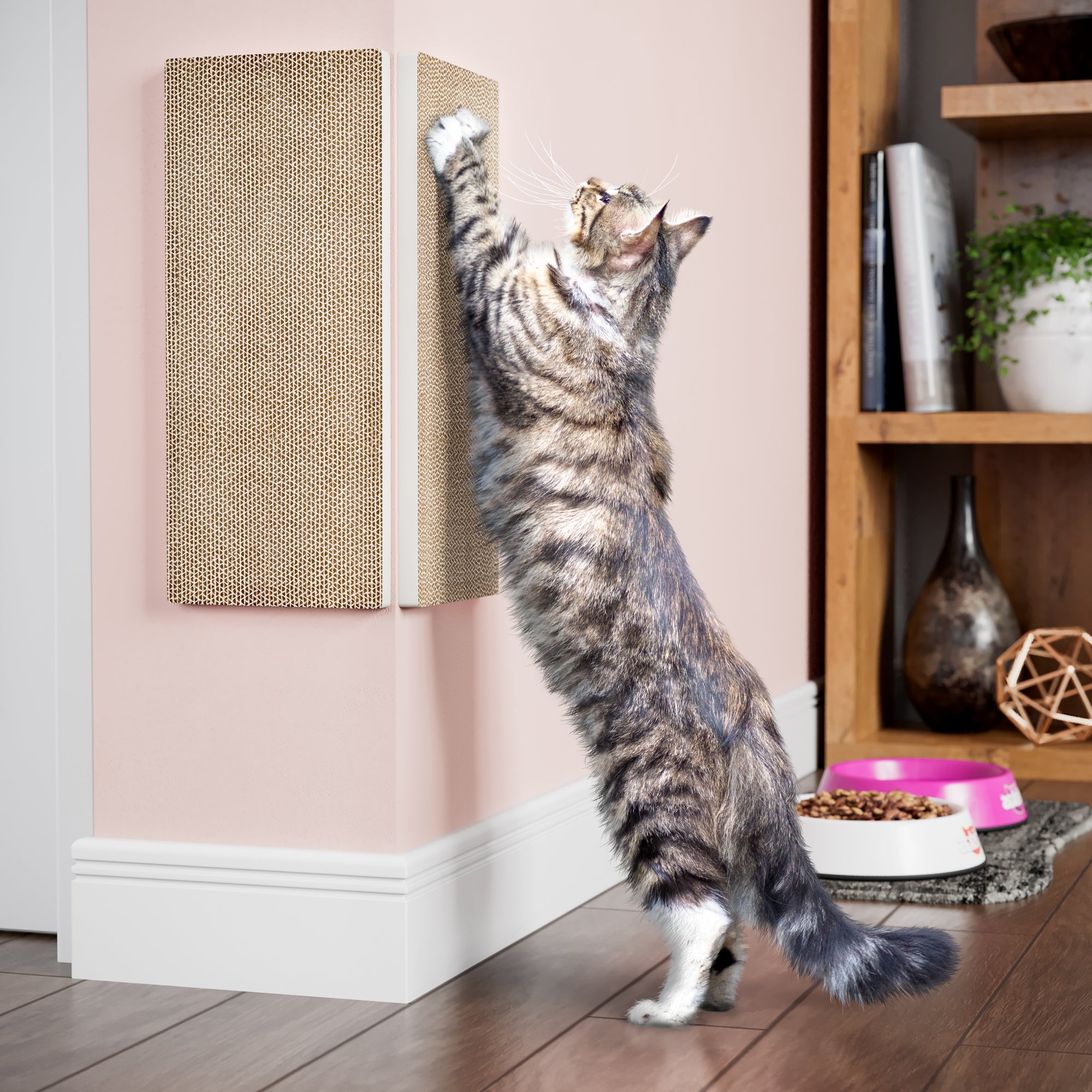 Cat scratcher for corner top