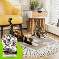 Premium Wall Cat Scratcher 2 Pack with Free Silvervine Catnip, White