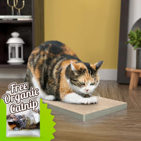 Katland Simple Cat Scratcher with Free Silvervine Catnip, London Grey (Refill for incline scratcher & litter box)