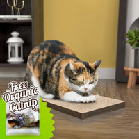 Katland Simple Cat Scratcher with Free Silvervine Catnip, Royal Walnut (Refill for incline scratcher & litter box)