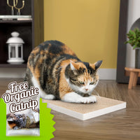 Katland Simple Cat Scratcher with Free Silvervine Catnip, White (Refill for incline scratcher & litter box)