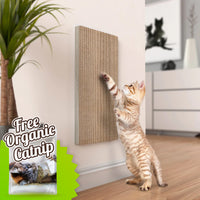 Katwall Wall Scratching Post with Free Silvervine Catnip, Aspen Grey