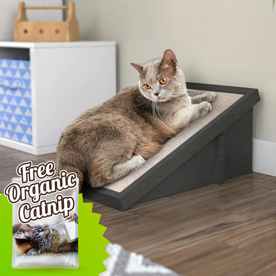 Katzone Scratching Ramp with Free Silvervine Catnip, Charcoal Black (pre-order ships 8/31)