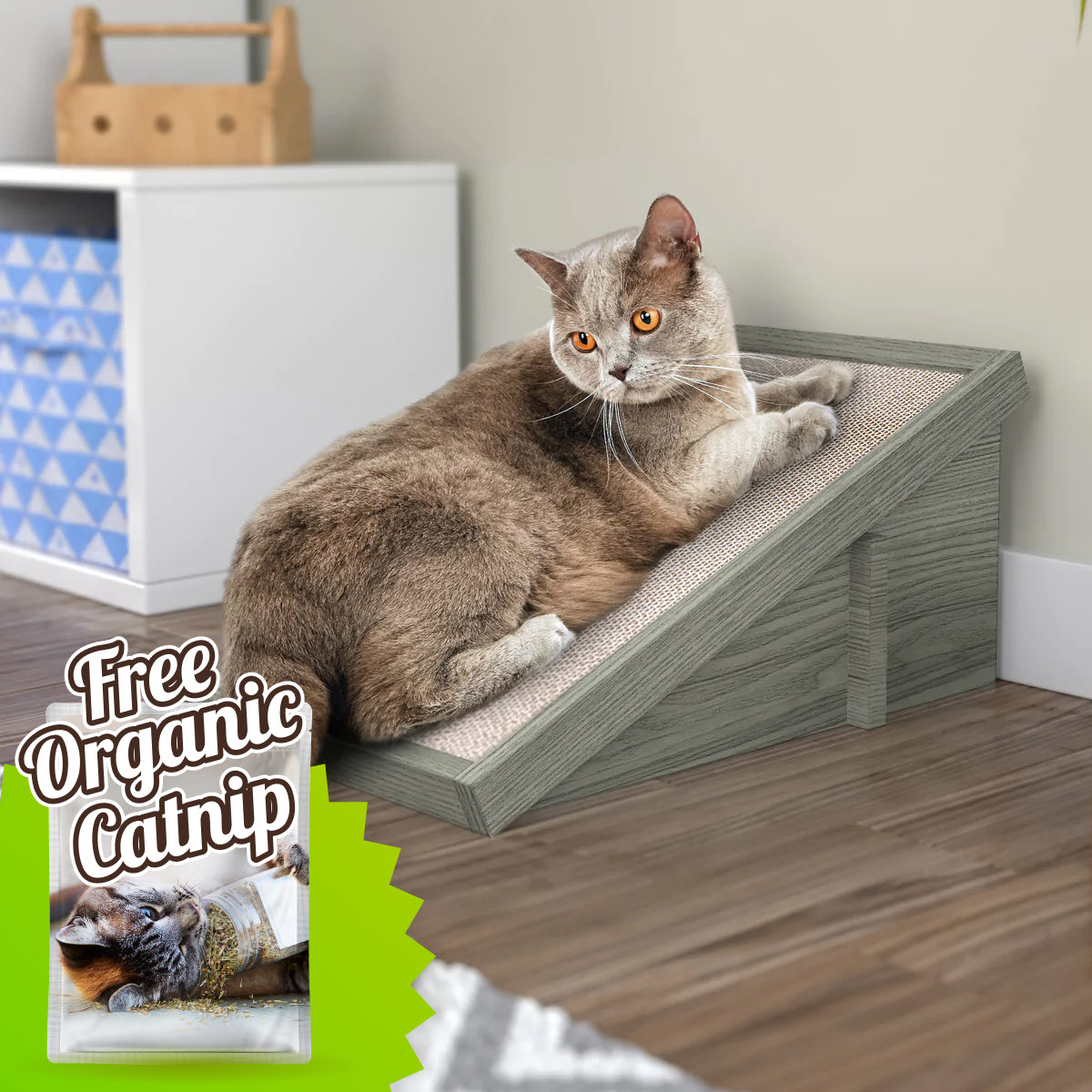 Scratch ramp for cats new arrivals
