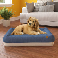 Pup Pup Kitti Plush Orthopedic Breatheable Pet Mat with NoFom cushion technology Medium, Blue/Beige (2 units left!)