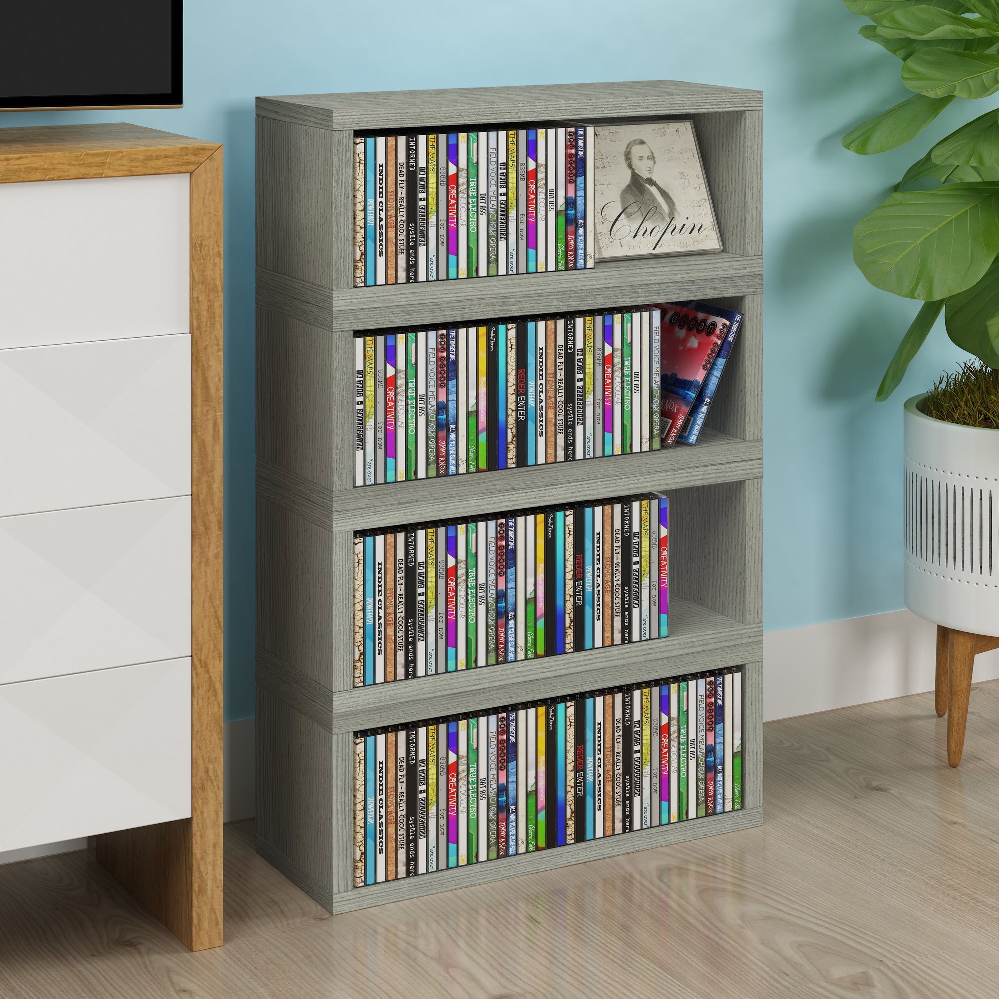 Cd bookcase discount