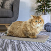 Katland Simple Cat Scratcher with Free Silvervine Catnip, Aspen Grey (Refill for incline scratcher & litter box) (pre-order ships 7/31)