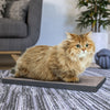 Katland Simple Cat Scratcher with Free Silvervine Catnip, Charcoal Black (Refill for incline scratcher & litter box) (pre-order ships 7/31)