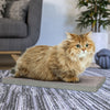 Katland Simple Cat Scratcher with Free Silvervine Catnip, London Grey (Refill for incline scratcher & litter box)