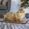 Katland Simple Cat Scratcher with Free Silvervine Catnip, Royal Walnut (Refill for incline scratcher & litter box)