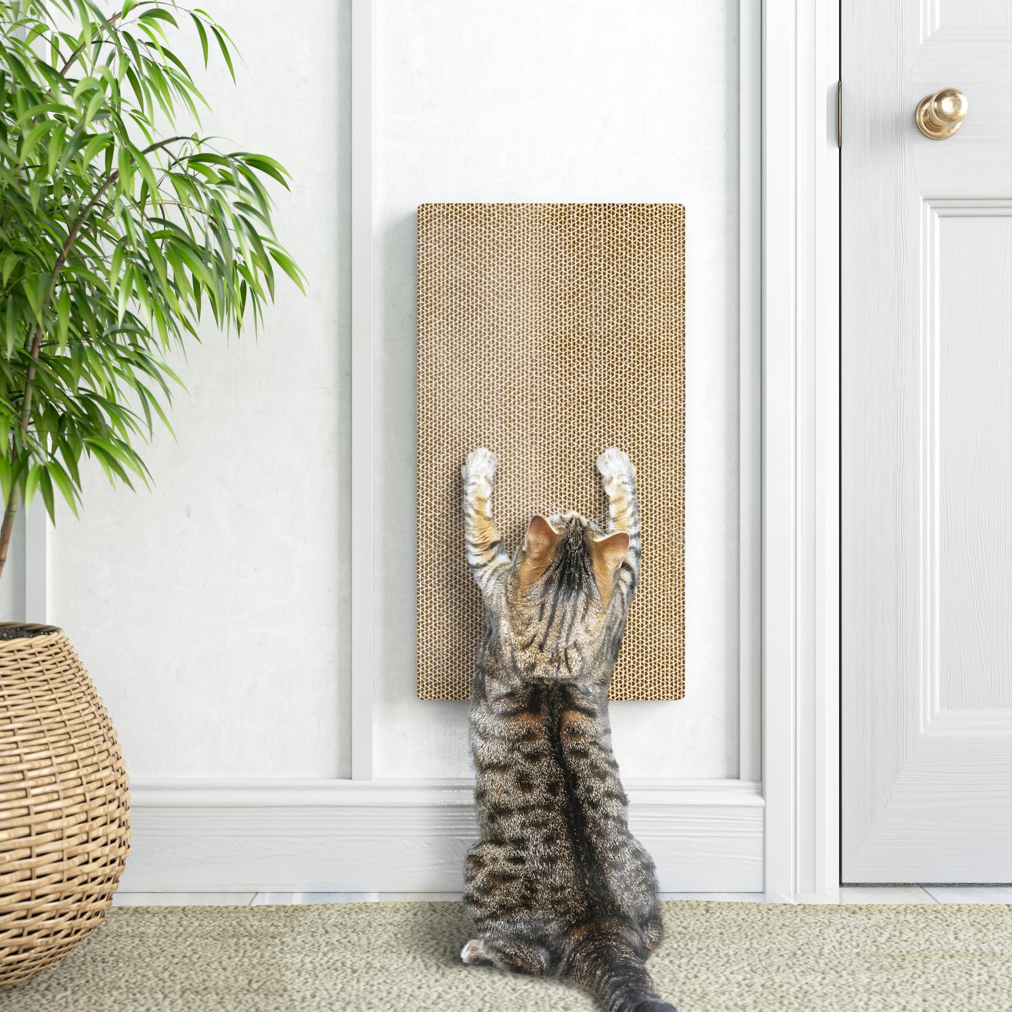 Way Basics Katwall Wall Scratching Post with Catnip, London Grey