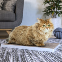 Katland Simple Cat Scratcher with Free Silvervine Catnip, White (Refill for incline scratcher & litter box) (pre-order ships 7/31)