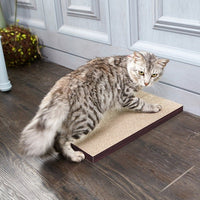 Way Basics Katwall Wall Scratching Post with Catnip, London Grey